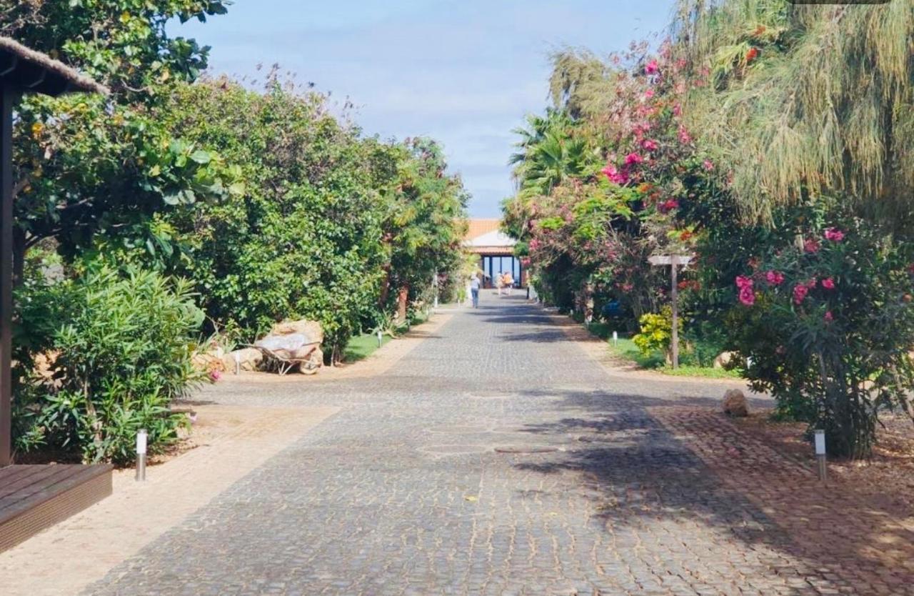 Villa With Privat Pool Near Beach Santa Maria Sal Kap Verde 외부 사진