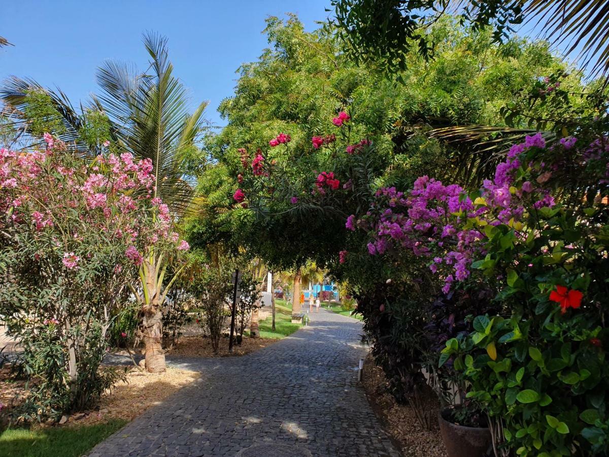 Villa With Privat Pool Near Beach Santa Maria Sal Kap Verde 외부 사진